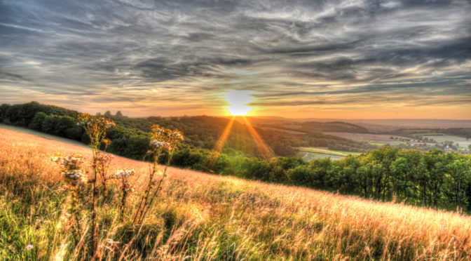 SDNPA Structure