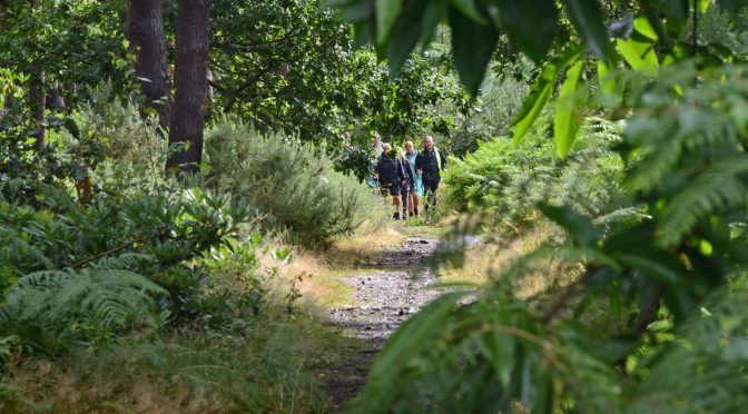 Walk with a Group