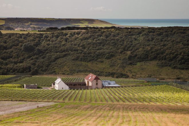 Rathfinny Vineyard situated amongst the hills of the South Downs with a view of the cost in the distance
