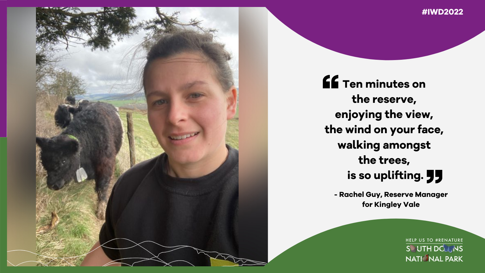 Quote graphic featuring Rachel Guy at Kingley Vale National Nature Reserve with a calf just behind her. The text on the graphic is featured in the article.