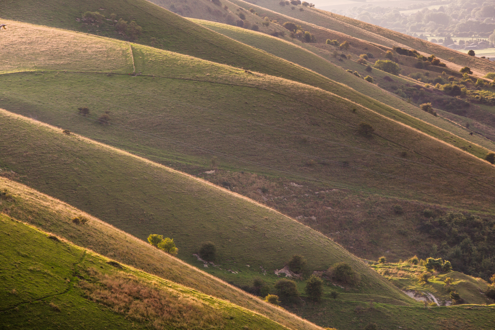 A landscape of rolling green hills