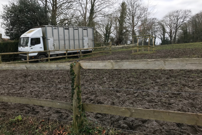 A muddy horse enclosure