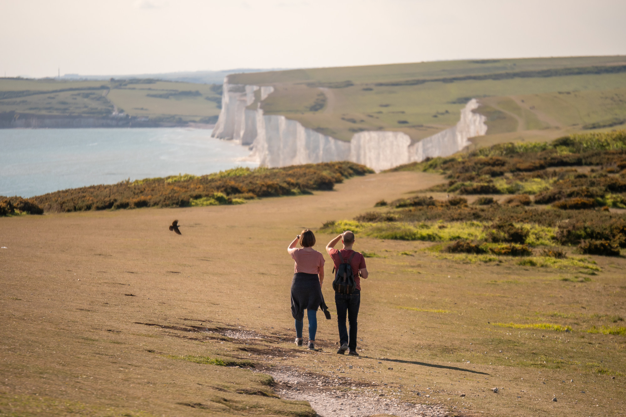 Two people staring at the white cliffs at Seven Sisters