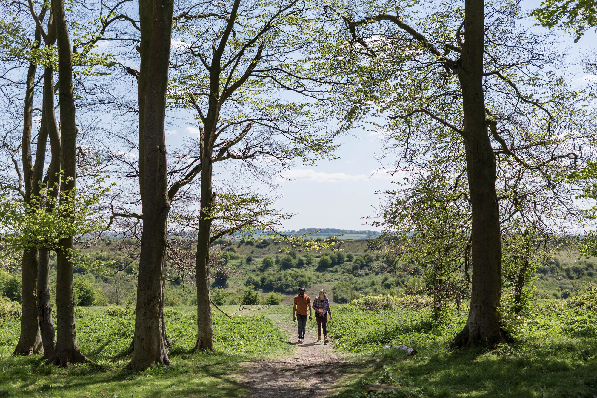 Two people walking together through a woodland