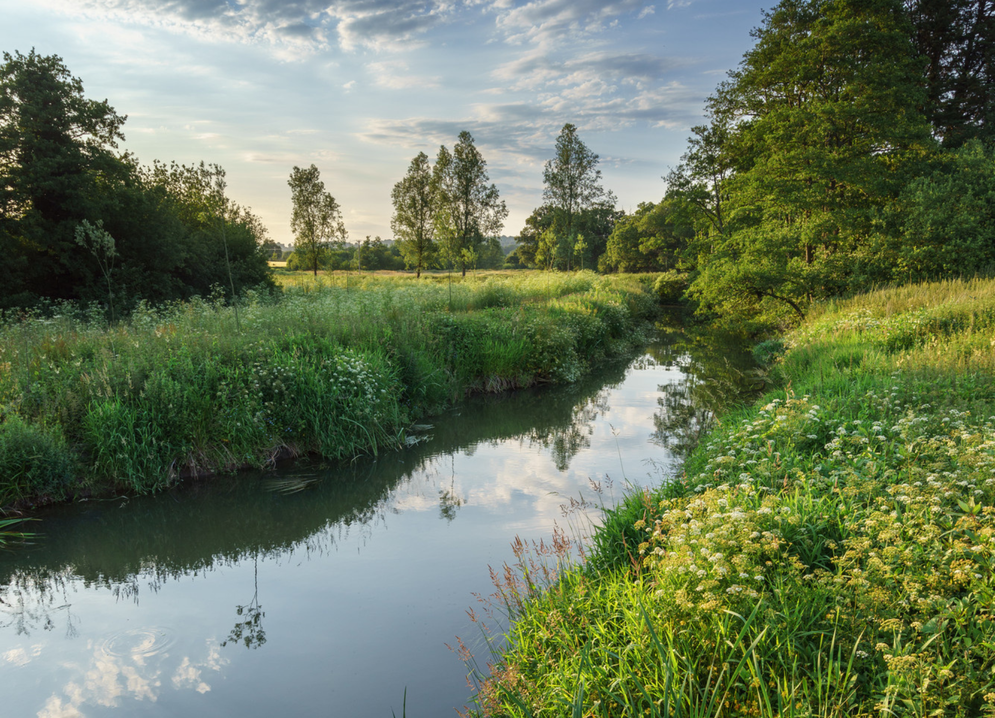 A beautiful river sits between two green meadows with a cloudy blue sky behind