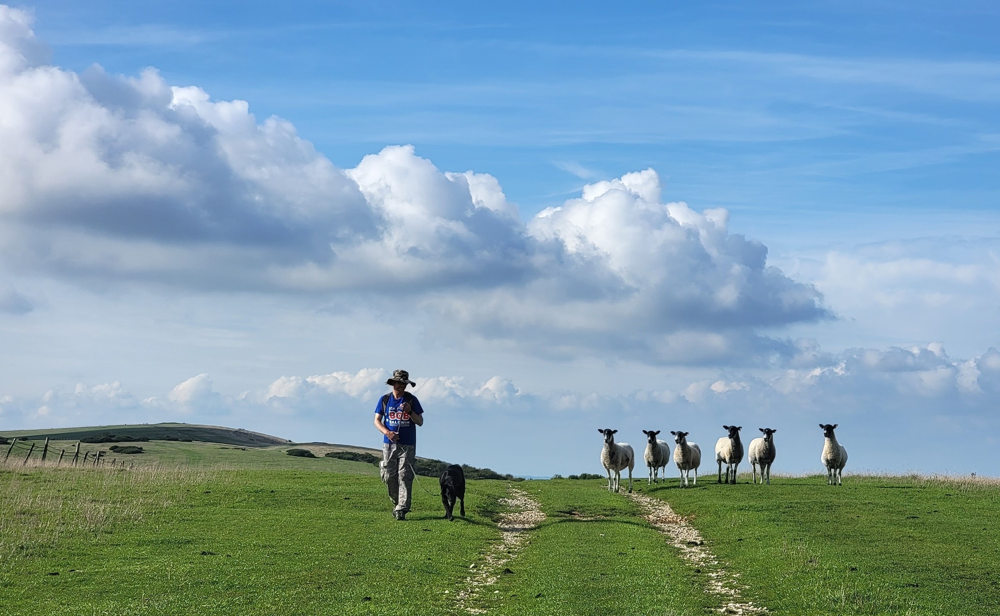 Man walking dog on lead past the sheep