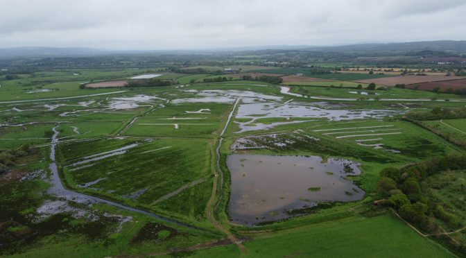 From South Downs to the sea: vital work is completed at two huge nature reserves