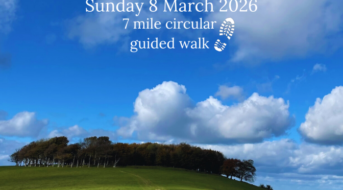 No Fear Chanctonbury Ring Guided Walk