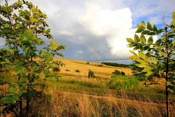 Trundle Hill