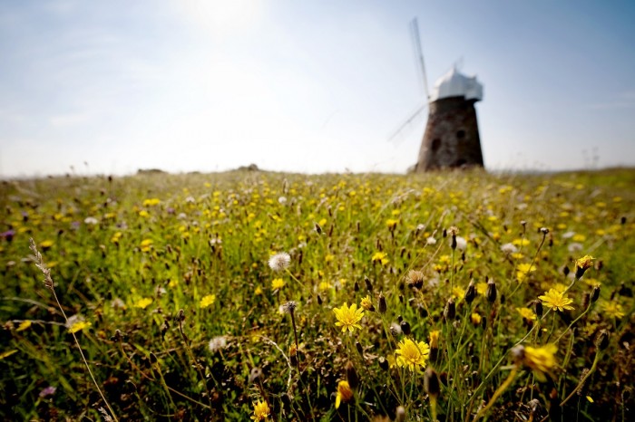 Halnaker Windmill, Chichester, Sussex