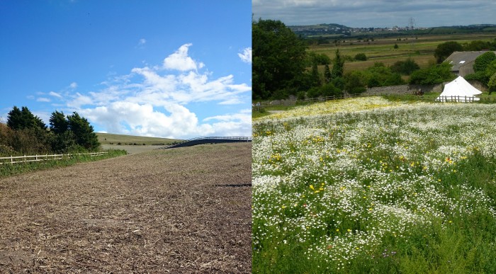 Before and After Itford