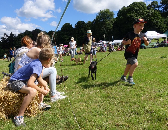 Dog Fun Day at Woolbeding parkland, West Sussex 31 July 2016