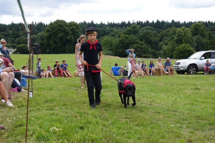 Dog Fun Day at Woolbeding parkland, West Sussex 31 July 2016
