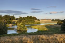 RS5095_Petworth Park-scr