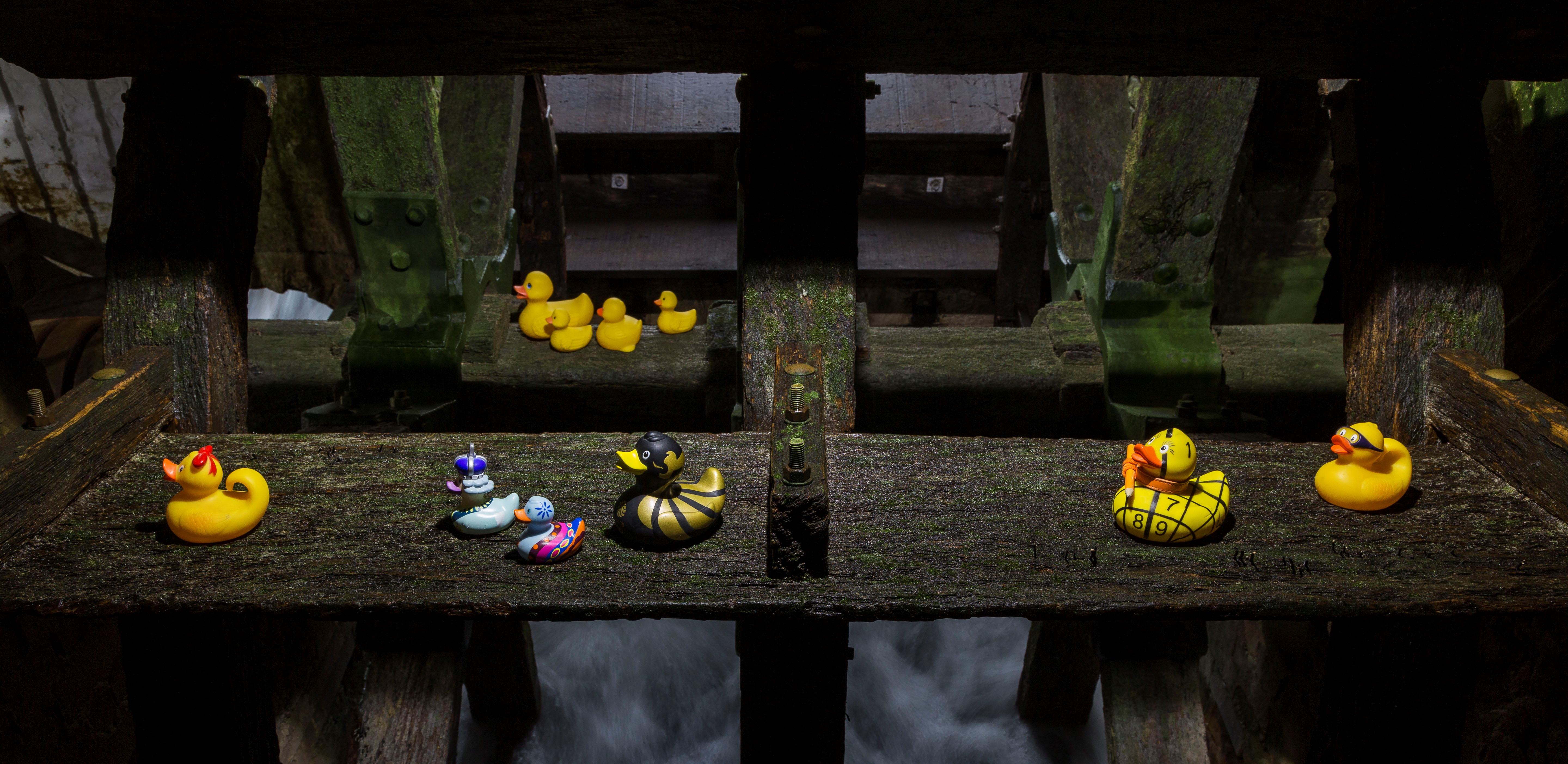 Duck race game