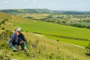 Volunteer working on the South Downs