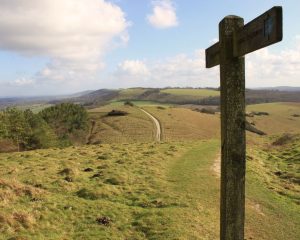 Picture of Beacon Hill, West Sussex