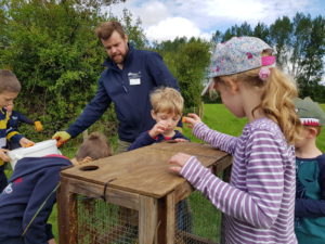 Feeding water voles at River Meon