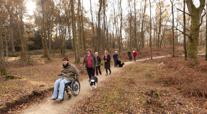 Getting around: assisted travel in the South Downs