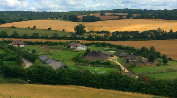 Taking time out in South Downs to appreciate the joys of nature