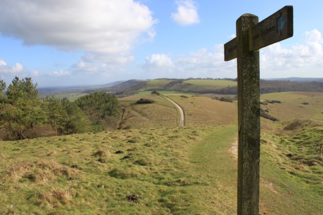 Harting Down by Stewart Garside