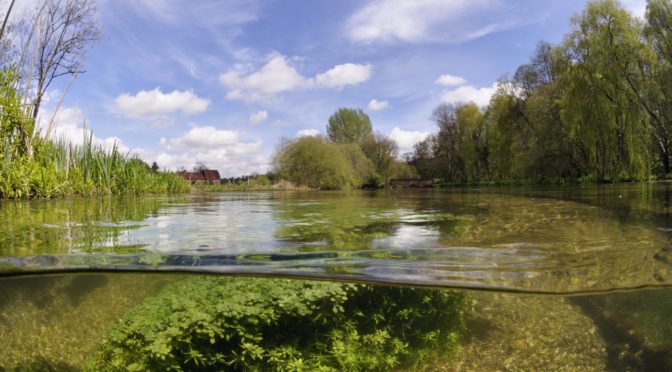 Natural Flood Management Measures