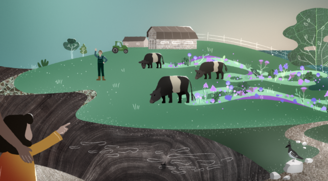 What does ReNaturing in the South Downs look like?