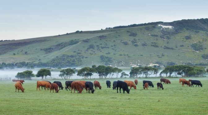 Nature Recovery for land managers