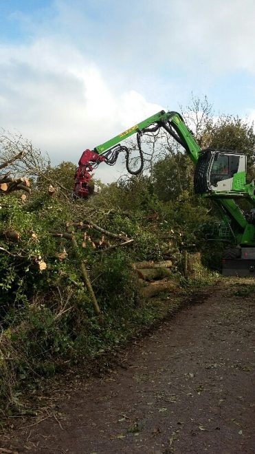 Image showing tree works on a section of the Centurion Way