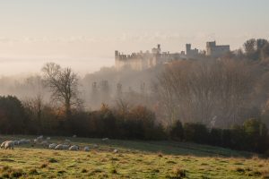 A misty morning over Arundel with views of the castle, a line of trees without their leaves and a field with sheep