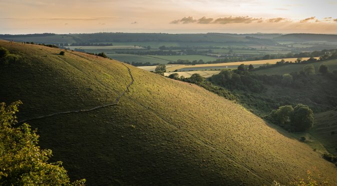 Major investment to improve visitor experience at Butser Hill