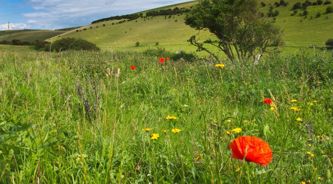 Call for Nature Sites – opening soon