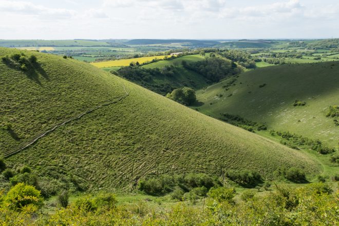 Rolling chalk downland of Butser Hill