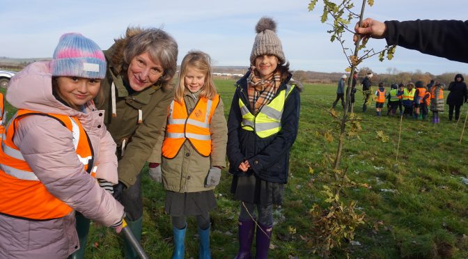 A welcome boost for nature as thousands of trees to be planted across South Downs