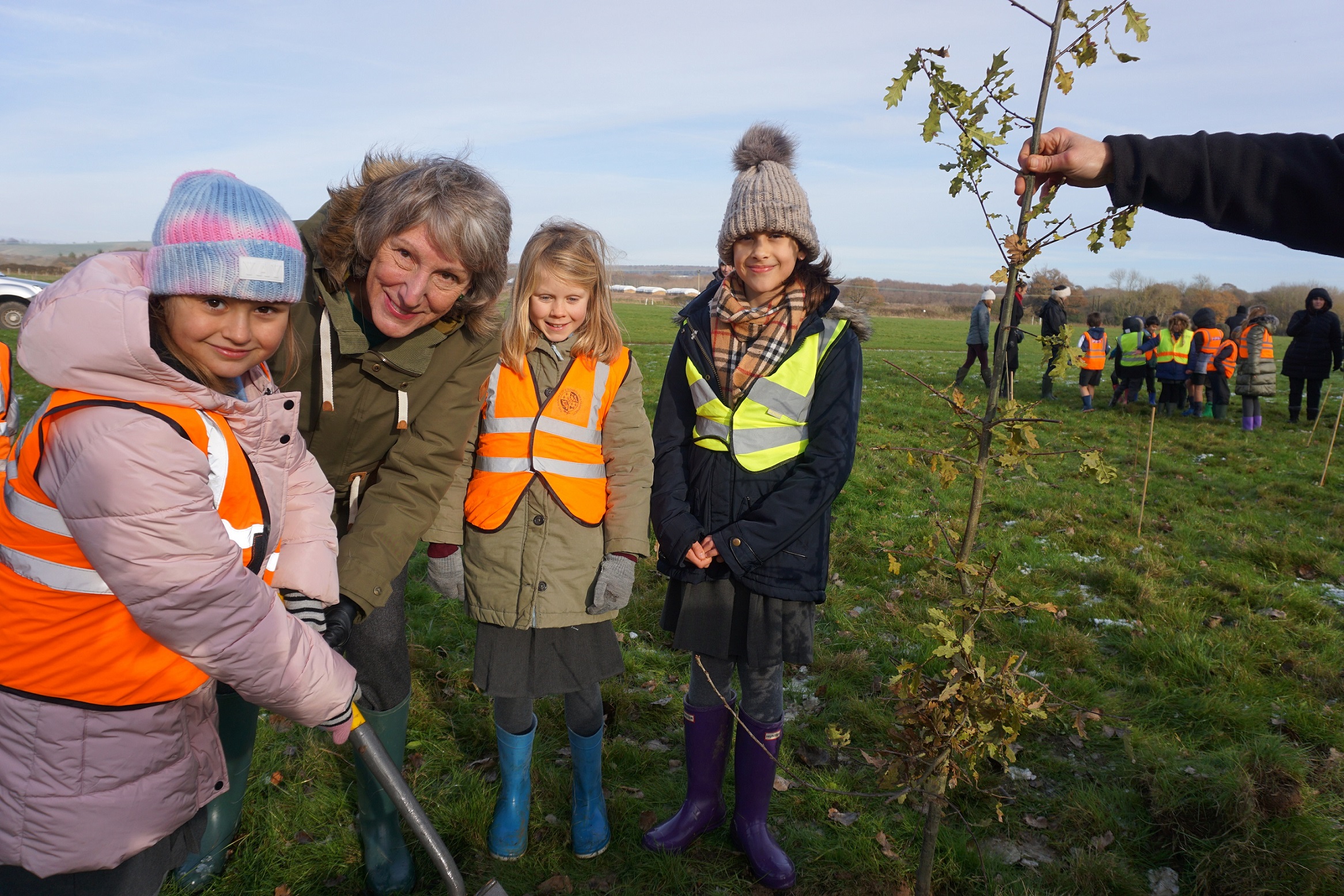 A welcome boost for nature as thousands of trees to be planted across ...