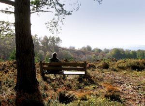 A lady sits on a bench overlooking a valley