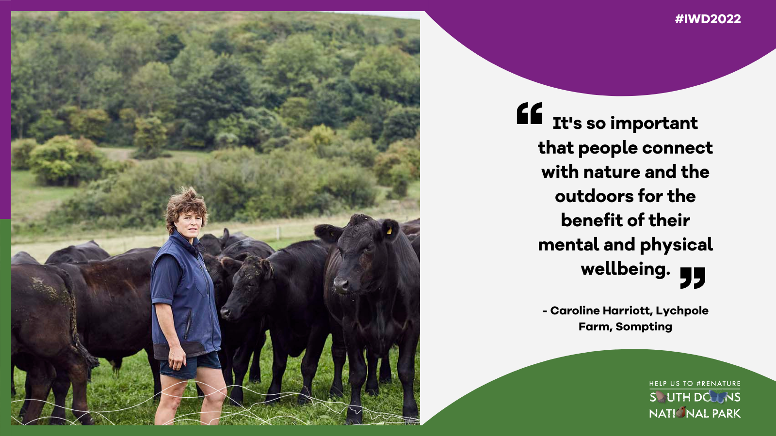 Quote graphic featuring Caroline Harriott on her farm in Sompting with a herd of cattle. The text on the graphic is featured in the article. 