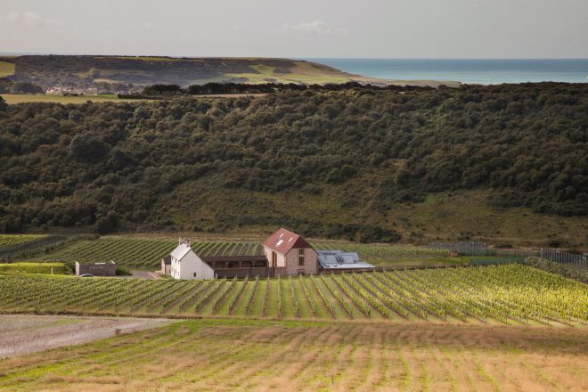 Rathfinny Vineyard situated amongst the hills of the South Downs with a view of the cost in the distance