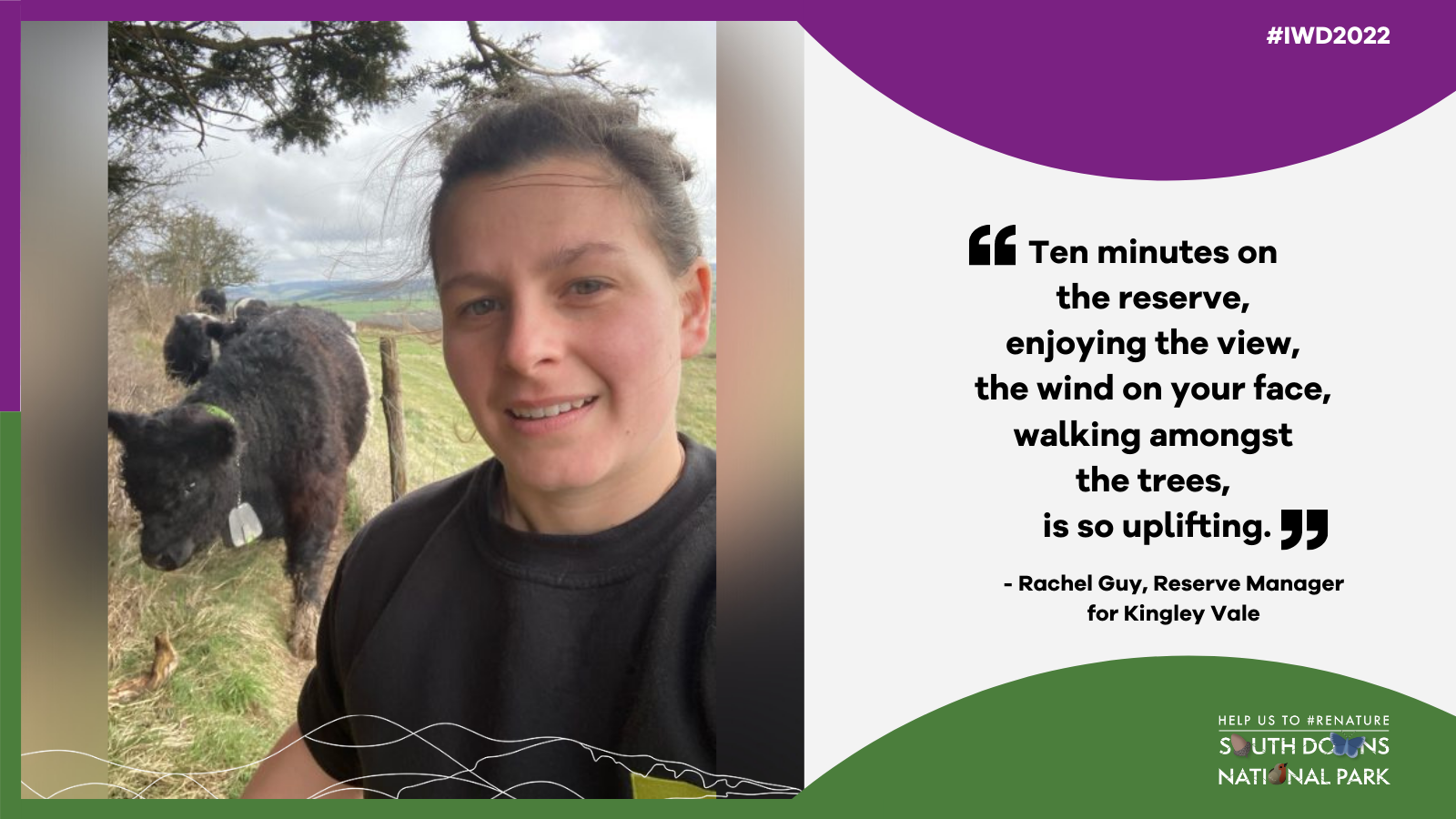 Quote graphic featuring Rachel Guy at Kingley Vale National Nature Reserve with a calf just behind her. The text on the graphic is featured in the article. 