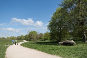 Two people walk with a dog along a paved path with a small woodland to the right