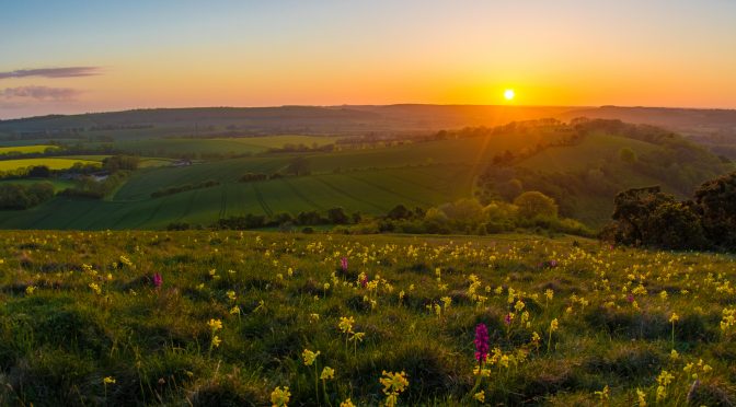 Ten reasons why the South Downs National Park is amazing!