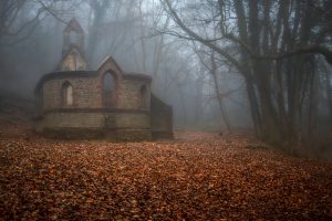 A church stands in ruin in the middle of a misty forest