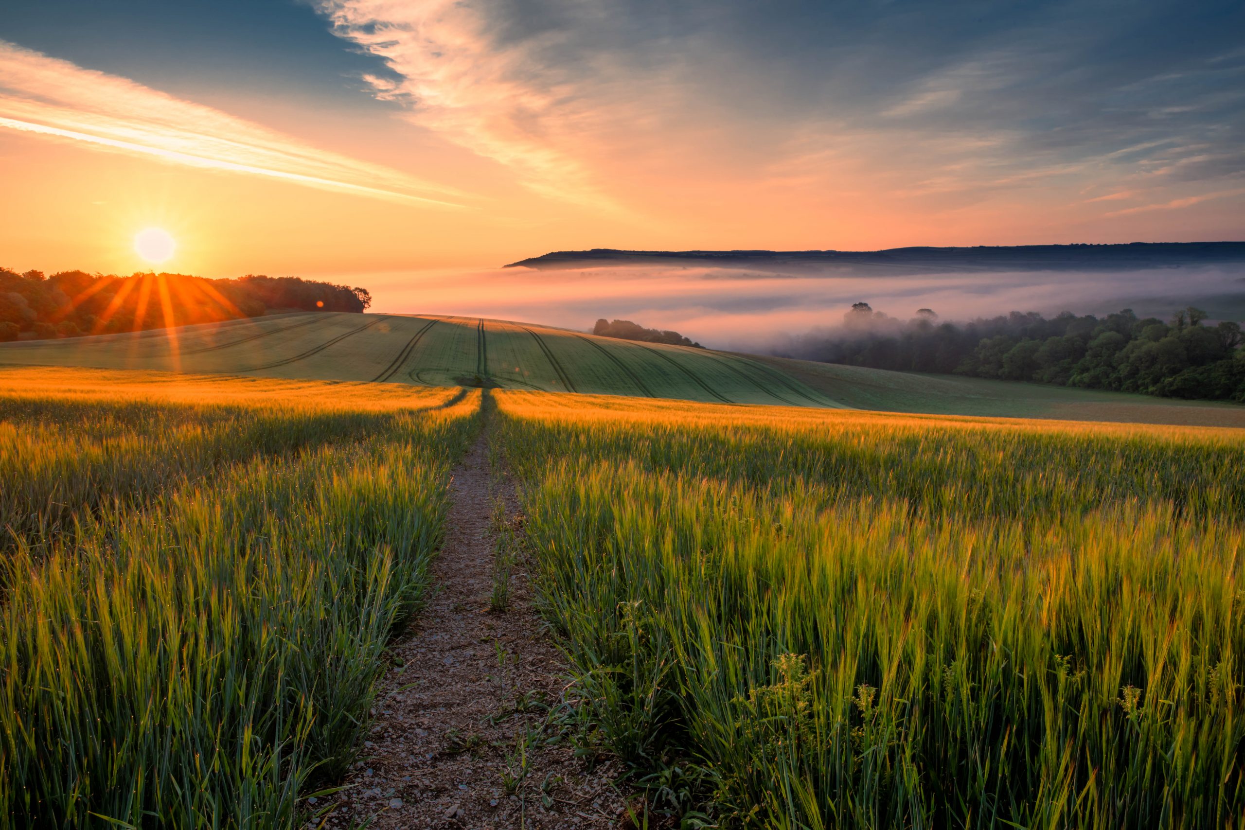 South Downs Photo Competition 2022/23: People’s Choice Vote - South ...