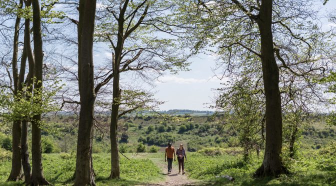 “National Parks need the resources to match our ambitions” – says South Downs Chief Executive
