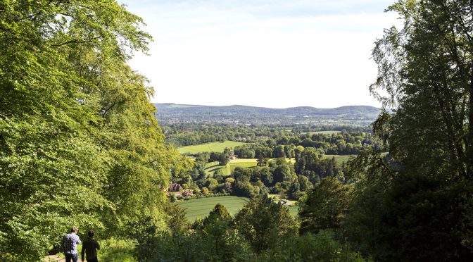 Groundbreaking biodiversity study in South Downs 250 years after the great Gilbert White