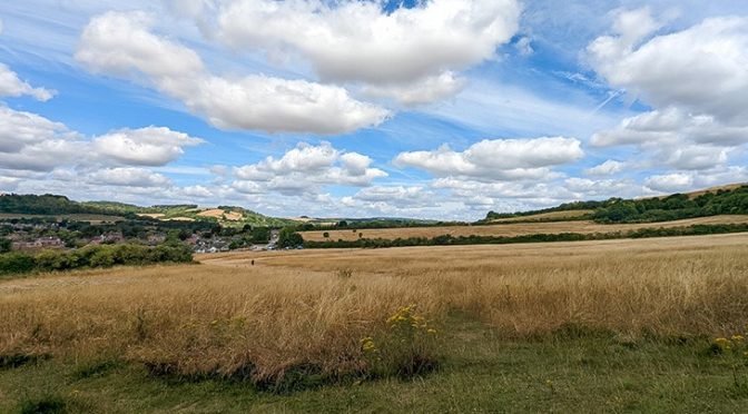 Renaturing of fields in South Downs gets underway