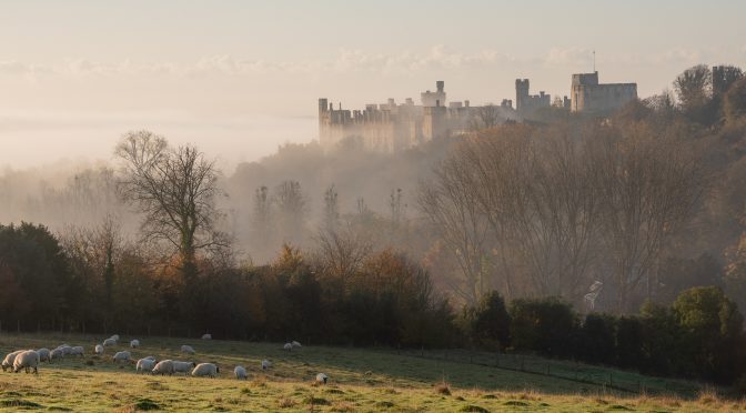 South Downs history knowledge nuggets: Monarch’s Way