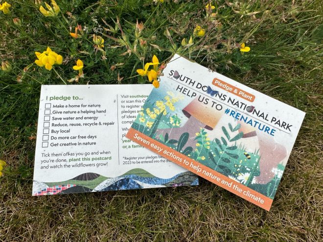 Wildflower seed pledge postcards