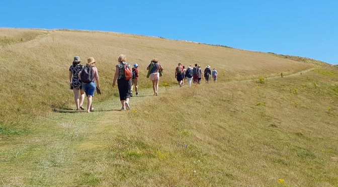 Listening to the Land: Creative Climate Conversations