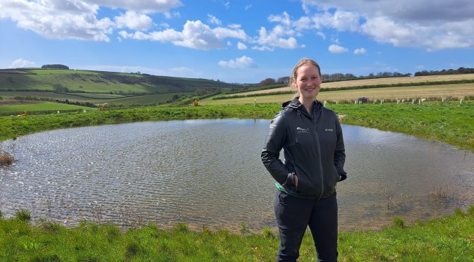 Pond life: Major bid to bring back freshwater havens in National Park